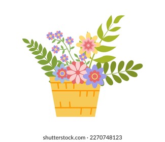 Wicker Basket with beautiful, bright spring flowers. Botanical illustration of flowers and leaves for Easter, holidays. Print for posters, cards, clothes, nursery. Vector flat illustration