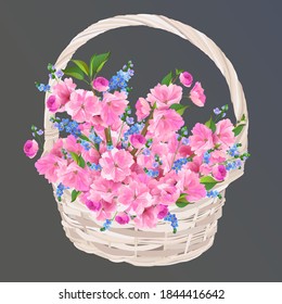 Wicker basket with cherry blossoms and forget-me-nots. A gift for a woman on mother's day in Japan. A bouquet of cherry blossoms on a transparent background. Isolated vector illustrations.