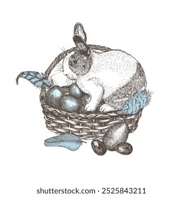 Wicker basket with eggs, bird pen. Hand drawn sketch rabbit, retro rustic style. Idea for farmers market flyers, banner, advertising. Colored vintage vector illustration. Isolated on white background.