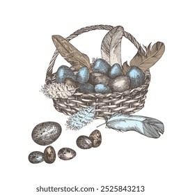 Wicker basket with eggs and bird pen. Hand drawn sketch, retro rustic style. Idea for farmers market flyers, banner, advertising. Colored vintage vector illustration. Isolated on white background