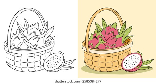 A wicker basket filled with dragon fruits illustrated in both a black-and-white and colored format. Features the dragon fruits with detailed textures and color highlights in their natural state