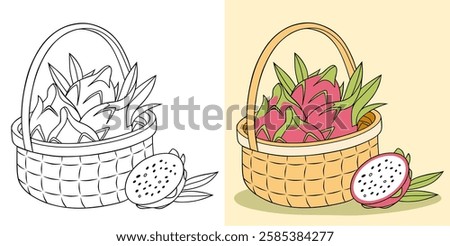 A wicker basket filled with dragon fruits illustrated in both a black-and-white and colored format. Features the dragon fruits with detailed textures and color highlights in their natural state