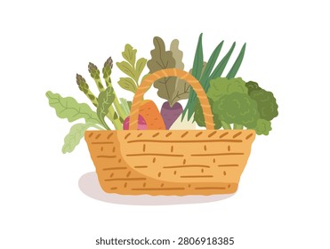 A wicker basket filled with fresh organic vegetables. Hand-drawn illustrations depict the seasonal harvest of broccoli, carrots, asparagus, and beets.