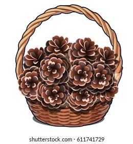 Wicker basket filled with pine cones isolated on white background. Vector cartoon close-up illustration.

