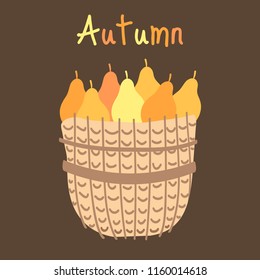 Wicker basket of fresh pears. Vector illustration. Flat style design. Concept harvest. Banner of autumn season.