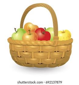 Wicker basket full of apples isolated on white background. Vector