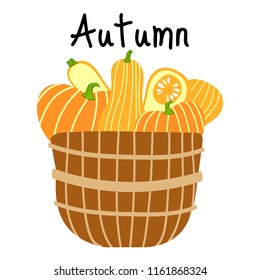 Wicker basket, full of  different fresh pumpkins. Vector illustration. Flat style design. Concept for gardening, autumn harvest. Perfect for packaging design of healthy food.