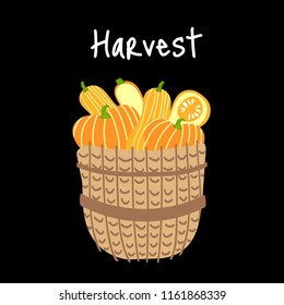Wicker basket, full of  different fresh pumpkins. Vector illustration. Flat style design. Concept for gardening, autumn harvest. Perfect for packaging design of healthy food.