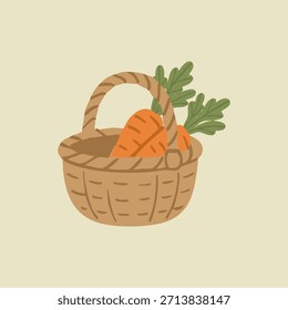 Wicker basket full of fresh orange carrots vector illustration