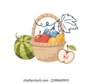 Wicker basket full of fresh ripe organic fruits. Natural vegetarian food for healthy nutrition. Picnic basket with watermelon, grape, pear and apple cartoon vector