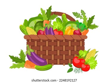Wicker basket full of fresh vegetables vector illustration. Cartoon drawing of organic tomatoes, eggplants, carrots in basket on white background. Food, harvest, farming or agriculture concept
