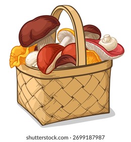Cesta de vime cheia de cogumelos. Ilustração vetorial de uma cesta com cogumelos.