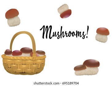 Wicker basket full of orange cap mushrooms separately isolated on white background. Vector illustration