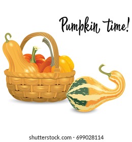 Wicker basket full pumpkins isolated on white background. Vector