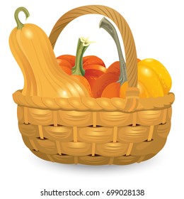 Wicker basket full pumpkins isolated on white background. Vector illustration