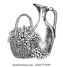 A wicker basket with grapes and a ceramic wine jug. Vector graphics, black and white hand-drawn illustration. Isolate on a white background. An element of packaging and label design.