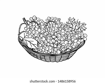 Wicker basket with grapes. For printing on fabric, coloring.
