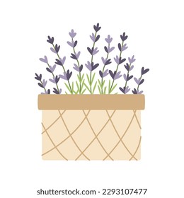 Cesta de mimbre con flores de lavanda dibujadas a mano. Ilustración vectorial. Sencillo estilo plano.