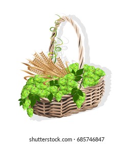 Wicker basket with hops and malt. Vector illustration isolated on white background.