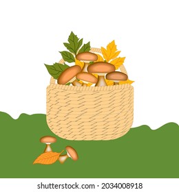 Wicker basket with mushrooms - isolated on white background. Autumn season.