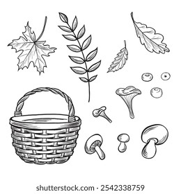 Wicker basket with mushrums and leaves. Set autumn sketches. Vector line illustrations, hand drawn isolated. Black and white doodle of forest plant, nature concept. Clipart for card, sticker, wrapping