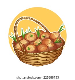 Wicker basket with onion. Vector clip-art illustration on a white background.