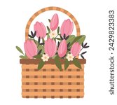 Wicker basket with pink tulips isolated on white background. Cute flat style