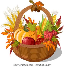 Wicker basket with pumpkin.Vector illustration with pumpkin, fruits, corn and ears of corn in a wicker basket on a transparent background.