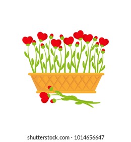 Cesta de mimbre con flores rojas como corazones, aislada en fondo blanco, elemento de diseño para vacaciones, boda, Día de San Valentín