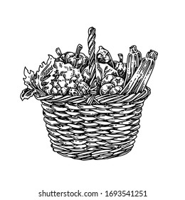 Wicker Basket With Ripe Vegetables. Sketch. Engraving Style. Vector Illustration.