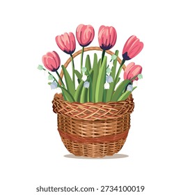 Wicker basket with tulips. Spring flower basket. Happy Easter, Mother's Day.