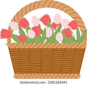 A wicker basket with tulips. Spring flowers. Wildflowers on the basket. Easter celebration. Summer flowers. Vector illustrations. Isolated on a white background