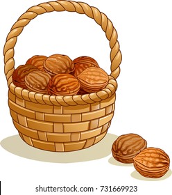 Wicker basket with walnuts isolated on a white background