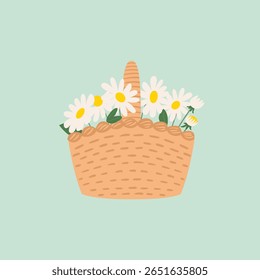 Cesta de vime com flores de margaridas de camomila branca. Ilustração plana vetorial de arranjo floral em saco de cesta de palha. Buquê de primavera decorativo sobre fundo isolado