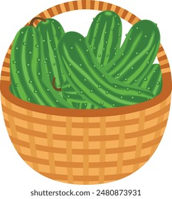 Wicker brown basket full of fresh cucumbers