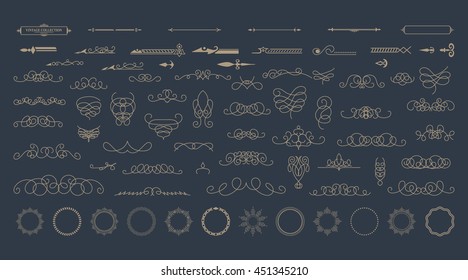 Wicker lines and old decor elements in vector. Vintage borders, frame and rosette in set. Vector page decoration. Decoration for logos, wedding album or restaurant menu. Calligraphic design elements