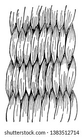 Wicker Work Basket Weave, It is the another common style is wicker work so frequently seen in willow baskets,  It is also a subject to a great variety of changes and patterns, vintage line drawing