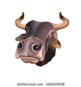 Wide angle view of a brown cattle. Vector illustration isolated on white background