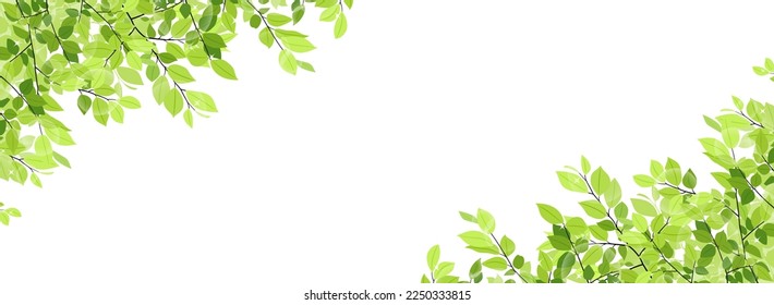 wide background with fresh green branches and leaves