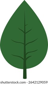  A wide, broad green leaf with a sturdy stem, representing strength and the vitality of natural elements in a clean, minimalist design.