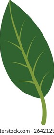 A wide, broad green leaf with a sturdy stem, symbolizing strength and vitality in a clean, minimalist design.