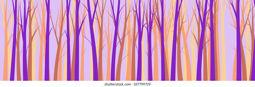 Wide Forest Background    - vector illustration