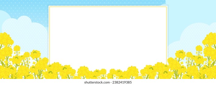 wide frame of rape blossoms in full bloom and blue sky