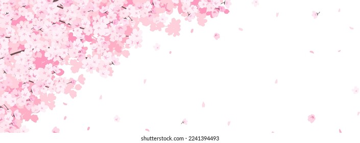 wide frame template with cherry blossoms in full bloom