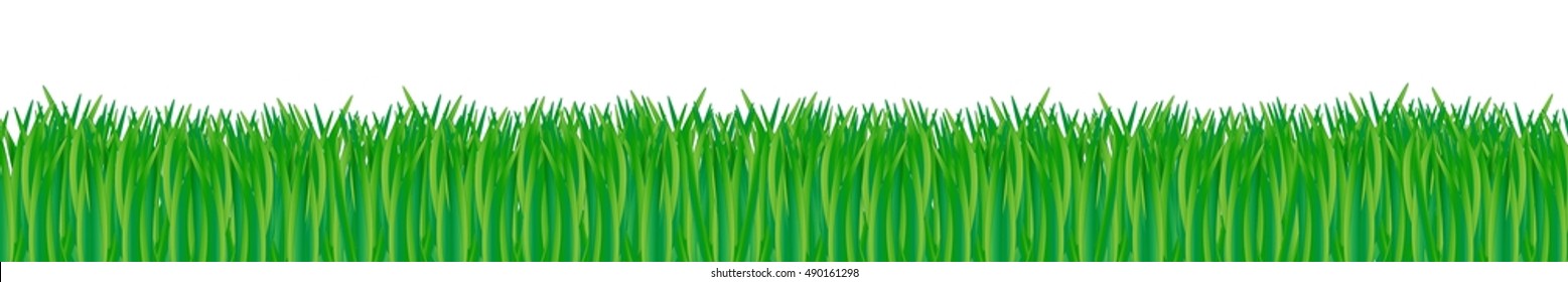 wide green grass vector banner