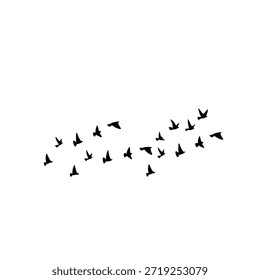 Una amplia formación Horizontal de pájaros voladores en silueta negra. Gráficos de Vector de Profesional que muestran un camino migratorio de aves silvestres, ideal para cabeceras de Sitio web, Anuncios y arte paisajístico.