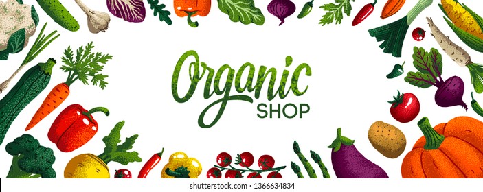 Wide horizontal organic shop background. Copy space. Variety of decorative vegetables with grain texture on white background. Farmers market, Organic food poster, cover or banner design. Vector