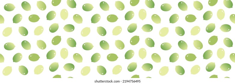 Wide horizontal vector seamless pattern background with pumpkin seeds.
