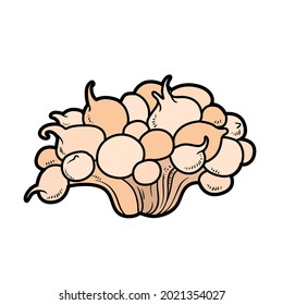 Wide low anemones color variation for coloring page isolated on white background
