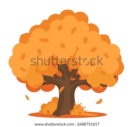 Wide massive old oak tree with orange leaves and acorns.  Majestic oak on ground among fallen leave. Vector illustration isolated on white background.